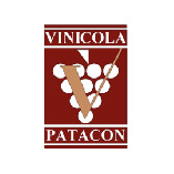 Vinícola Patacón