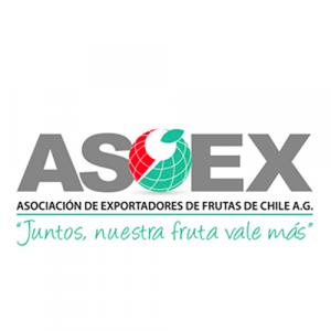 Asoex