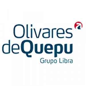 olivares quepu